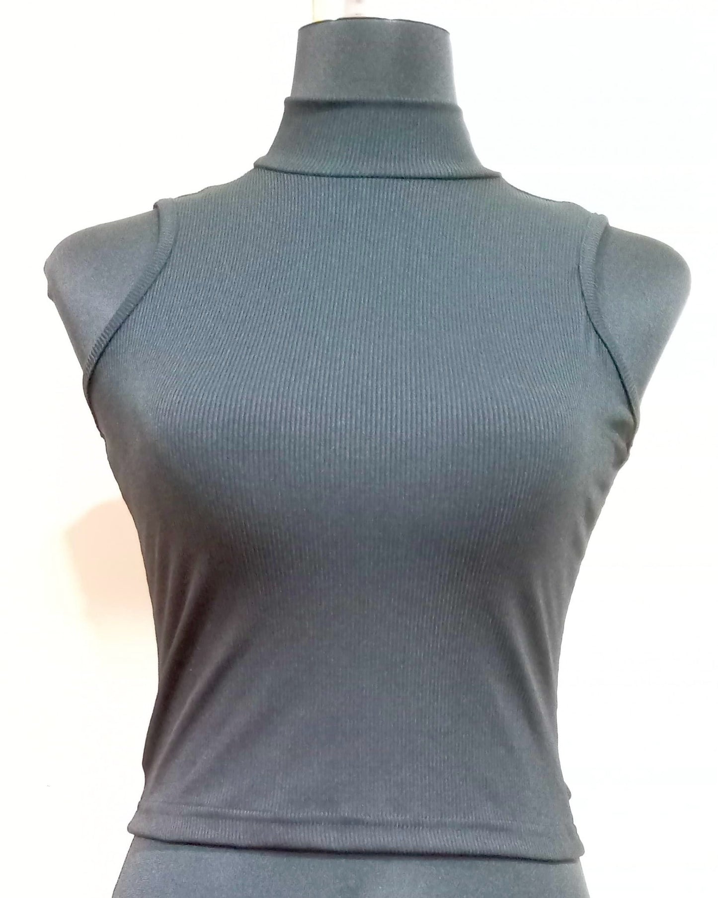 Knitted Rib Sleeveless Turtleneck Crop Top